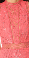 Thumbnail for your product : Rebecca Taylor Sleeveless Arella Lace Dress