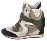 Thumbnail for your product : Elena Iachi Marta 2 Wedge Sneakers tan Marta 2 Wedge Sneakers
