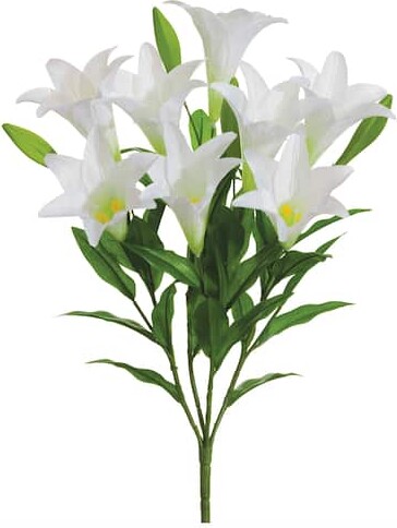 Allstate White Easter Lily Bush