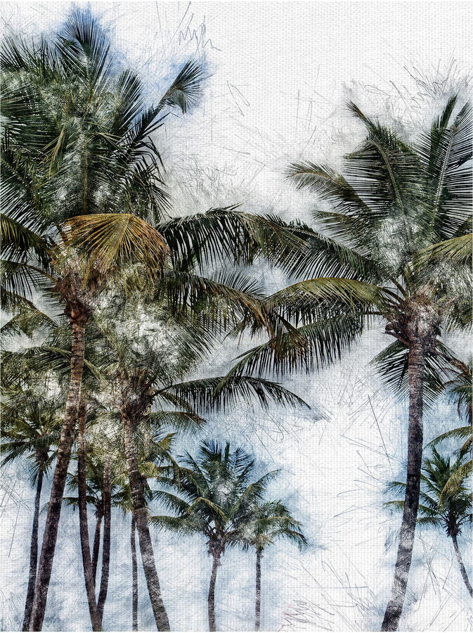 Masterpiece Art Gallery Dorado Palms 2 By Golie Miamee Canvas Art Print 18" x 24"