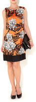 Thumbnail for your product : Wallis Orange Floral Shift Dress