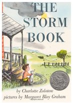 Thumbnail for your product : Harper Collins The Storm Book