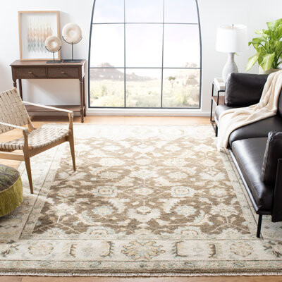 Safavieh Hand Knotted Wool/Cotton Southwestern Rug in Beige/Brown