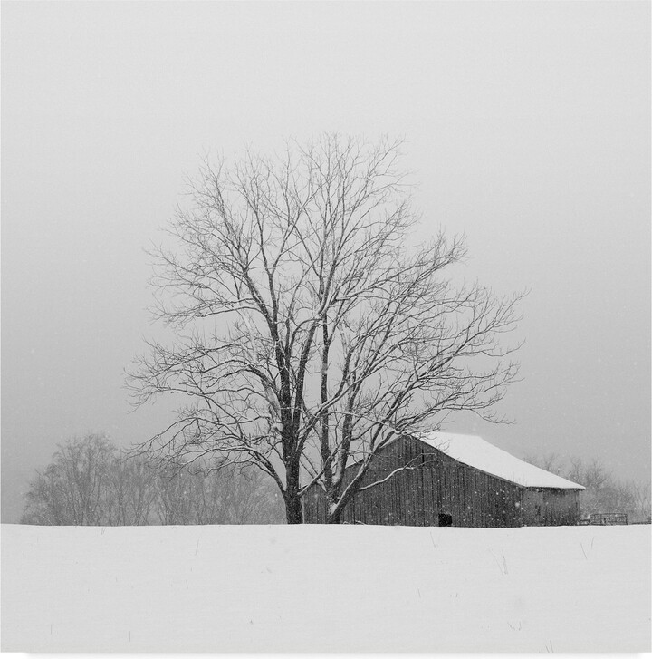 Trademark Fine Art 'Townsend Winter' Canvas Art by Nicholas Bell Photography