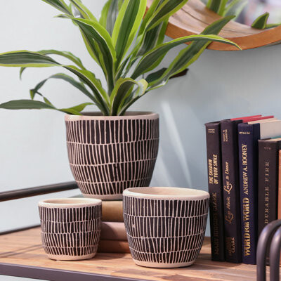 Bungalow Rose Reames 3-Piece Stone Pot Planter Set