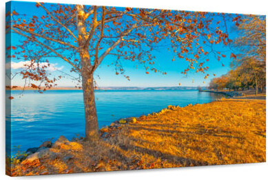 Ebern Designs Lake Dardanelle