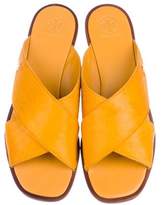 Thumbnail for your product : Tory Burch Ponyhair Slide Sandals