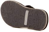 Thumbnail for your product : Sperry Sharktooth Flip Flop
