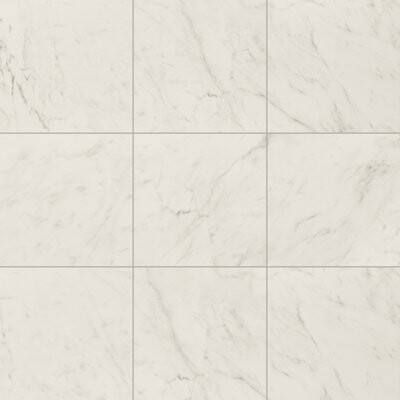 Ackland Zola 24 in. x 24 in. Polished Porcelain Marble Look Floor and Wall Tile