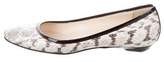 Snakeskin Flats - ShopStyle