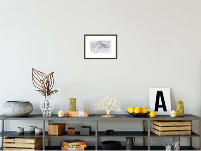 1000Museums Detail of a mechanical wing from fol. 74r manuscript B 2173 by Leonardo da Vinci -Framed Giclee Print