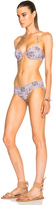 Thumbnail for your product : Zimmermann Ryker Lace Up Bikini