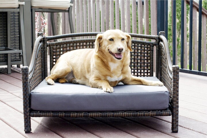 Iconic Pet Maharaja Rattan Sofa Cat & Dog Bed with Removable Cover, Caramel & Mocha