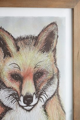 Urban Outfitters 4040 Locust Sketched Foxy Framed Art Print
