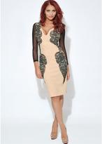 Thumbnail for your product : Amy Childs Long Sleeve Lace Panel Dress