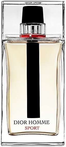 dior homme sports