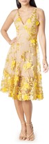 Thumbnail for your product : Dress the Population Audrey Embroidered Fit & Flare Dress