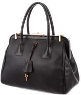 Thumbnail for your product : Prada Cinghiale Medium Frame Bag