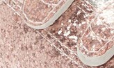 Thumbnail for your product : Converse Chuck Taylor® All Star® 2V Glitter Sneaker