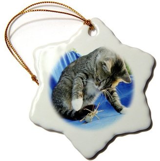 3dRose LLC orn_46870_1 Taiche - Photography - Tabby Cats - Predator - animal, moggie, tabbies, tabby cat, cat, cats, cute - Ornaments