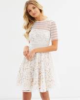 Thumbnail for your product : Cooper St Alessandra Lace Fit And Flare Dress