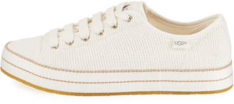 UGG Claudi Knit Lace-Up Sneakers