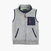 Thumbnail for your product : J.Crew Boys' Summit fleece vest