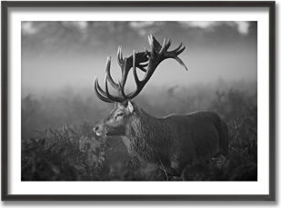 Ready2hangart Sunny Morning by Robert Fabrowski - Picture Frame Print on Wood