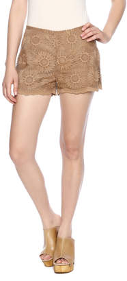 Umgee USA Sunflower Shorts