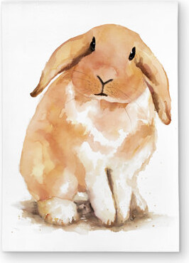 East Urban Home Lop-rabbit Outdoor Area Rug for Pets Bedroom Decor - Stylish