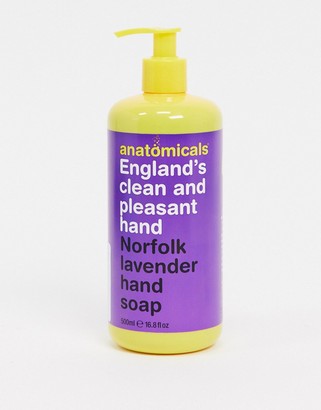 Anatomicals Clean And Pleasant Hand Hand Wash 500ml-No colour