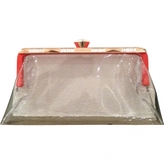 Thumbnail for your product : Jenny Packham Orange Clutch bag