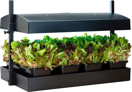 Sunblaster SunBlasterSL1600220T5HOIndoorCanopyGrowLightGardenSystemwith2,18-Inch18-Watt6400KStripLights&2NanoTechT5Reflectors,Black