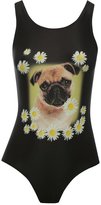 Thumbnail for your product : M&Co Daisy pug swimsuit