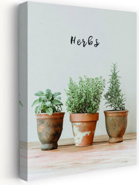 Ophelia & Co. Farmhouse Herbs II Contemporary Art