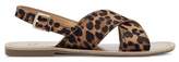 Thumbnail for your product : Marc Fisher Women's Rite Leopard Print Sandals