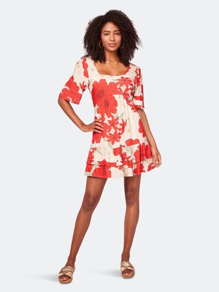 bog collective dress tj maxx