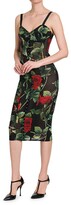 Thumbnail for your product : Dolce & Gabbana Rose Print Sheath Dress