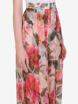 Thumbnail for your product : Dolce & Gabbana Camellia print chiffon harem pants