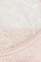 Thumbnail for your product : Stella McCartney Floral Lace Underwire Bra