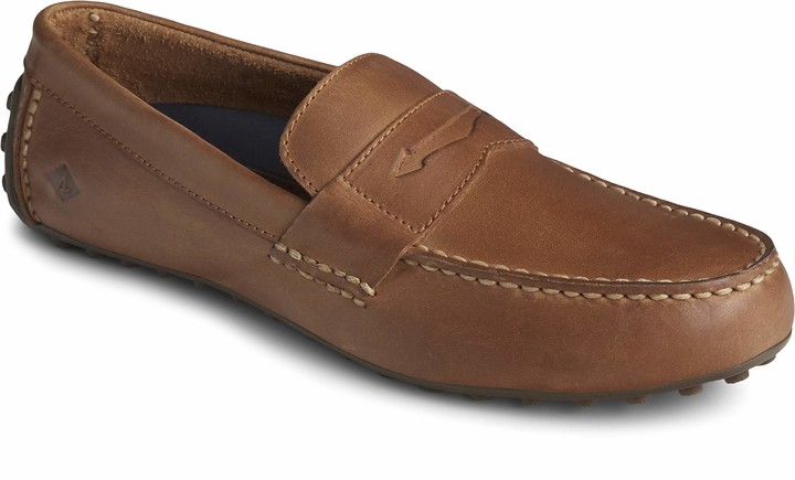 sperry hamilton