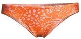 Thumbnail for your product : PatBO Coral Bikini Bottoms