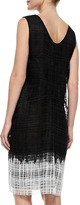 Thumbnail for your product : Derek Lam Sleeveless Guipure Lace Shift Dress