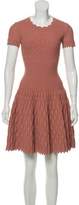 Thumbnail for your product : Alaia Trinidad Fit and Flare Dress