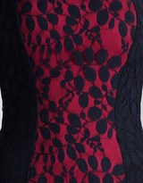 Thumbnail for your product : Sorbet Hybrid Contrast Panel Lace Dress