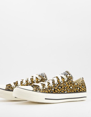 Converse Chuck 70 Ox Leopard Heart print suede sneakers in club gold -  ShopStyle