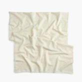 Thumbnail for your product : J.Crew Speckled scarf
