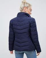 Thumbnail for your product : Miss Selfridge Petite padded jacket in navy