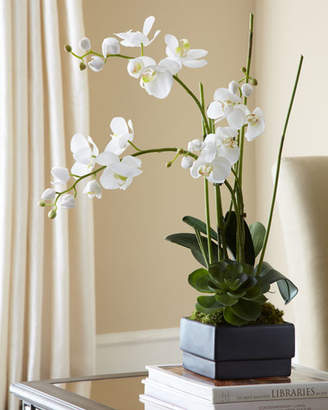 John-Richard Collection White Orchid in Black Planter Faux-Floral Arrangement