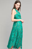Thumbnail for your product : Tracy Reese Aria Lace Midi Dress